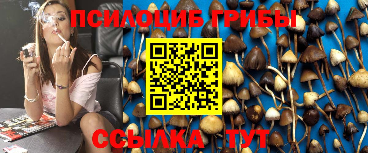 Псилоцибиновые грибы мухоморы  Вход с VPN  даркнет сайт  Дзержинск 